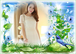 Natural Frame screenshot 1