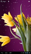 Drops on tulips screenshot 2