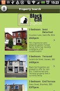 Black Cat Properties imagem de tela 3