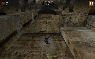 Run Vival screenshot 1