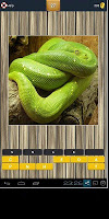 Guess The Animal Quiz capture d'écran 3