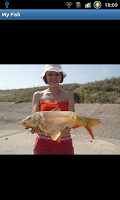 My Fish lite imagem de tela 3