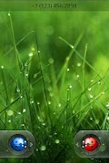 LadyBird Theme screenshot 3