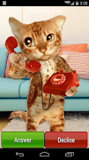 Cat Caller স্ক্রিনশট 1