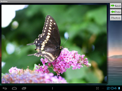 MultiRes - New Student demo Screenshot 7