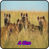 Hyena Soundboards screenshot 1