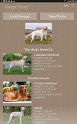 Magic Dog 截圖 5