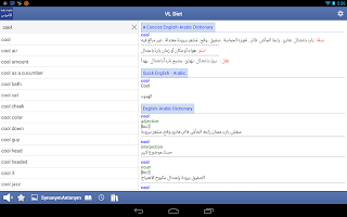 Arabic English Dictionary screenshot 7