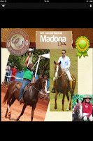 Cavalo Mangalarga скриншот 2