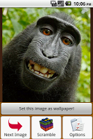 Quebra-Cabeças Macaco Cartaz