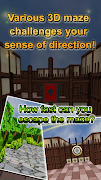 Maze Run 3D captura de pantalla 3