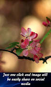 Photo Bokeh Effect screenshot 3