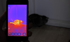 Thermal Camera ảnh chụp màn hình 1