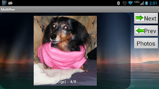 MultiRes - New Student demo 스크린샷 3