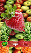 FullScreen CallerID with Voice poster