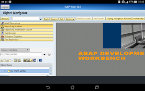 SAP WebGui 스크린샷 6