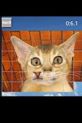 puzzle cat screenshot 1