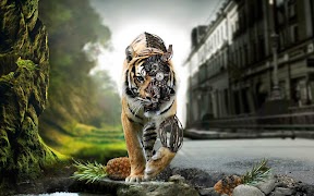 3D Tiger 스크린샷 3