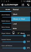 AM Skin: Android screenshot 2