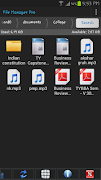 File Manager Pro screenshot 1
