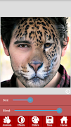 Animal Faces - Face Morphing poster