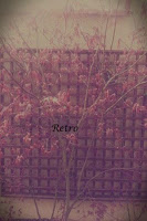 Camera Filter Free screenshot 1