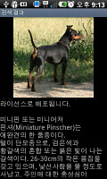 강아지 백과사전 screenshot 2