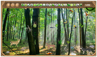 Rain Forest Hidden Objects screenshot 3