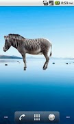 1 Schermata Zebra Sticker