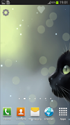 Curious Cat Lite captura de pantalla 3