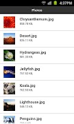 PHYTTER DOCK syot layar 1