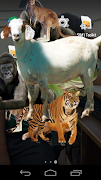 AnimalOnScreen poster