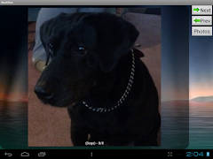 MultiRes - New Student demo スクリーンショット 5