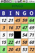 Bingo Tronic Ekran Görüntüsü 3
