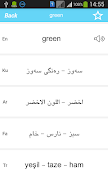 Rebin Dictionary - Kurdish スクリーンショット 4