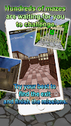 Maze Run 3D screenshot 4