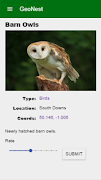 GeoNest Prototype Screenshot 1