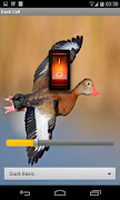 Poster Duck Call