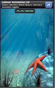 Memory Star Game poster