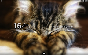 Theme eXp - Kitty capture d'écran 5