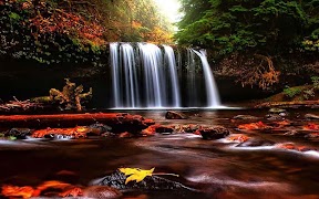 3D Waterfall पोस्टर