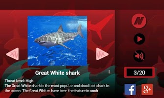 Tiburones Poster