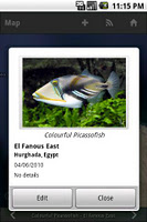 Fishes screenshot 3