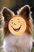 FaceChanger Screenshot 1