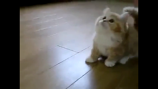 VStream -Streaming Download Ekran Görüntüsü 2