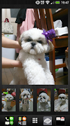 Simple Photo Widget poster