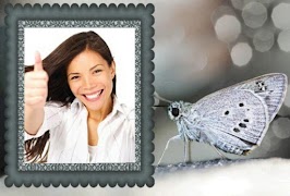 Mariposa Marcos y collages captura de pantalla 1