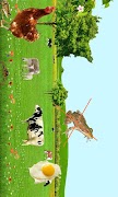 Flying Eggs ảnh chụp màn hình 2