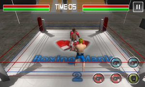 Boxing 3D screenshot 4
