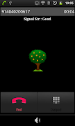 Mango Tree постер